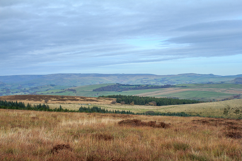 Rushup Edge